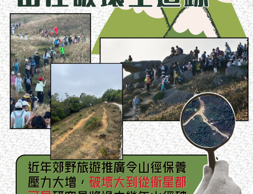 【大山疤 觀茵象】行山打卡熱潮下 山徑破壞全追踪