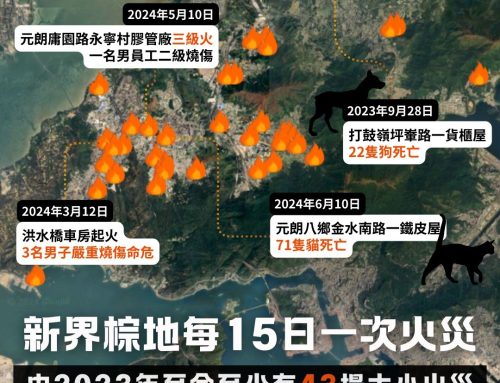 【怒火棕燒】新界棕地每15日一次火災 貓狗死傷比人多