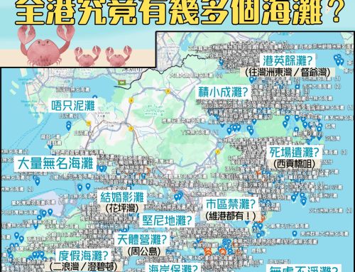 【探熱專題】唔止康文署泳灘 全港究竟有幾多座海灘？