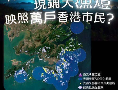 【萬家「燈」火】休漁期現鋪天漁燈 映照數萬戶香港市民？