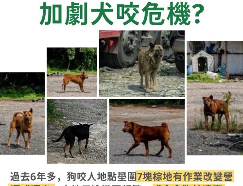 【齒亂棕棄】棕地用途屢變或衍生流浪狗 加劇犬咬危機？